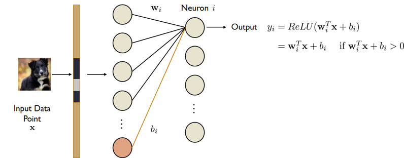 fully connected layer